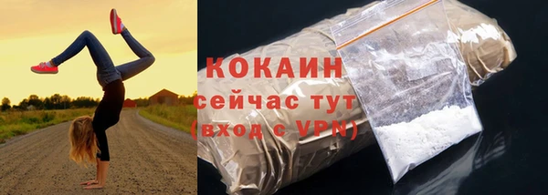 бошки Гусев