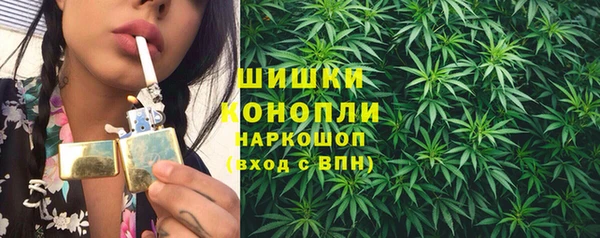 ешки Гусь-Хрустальный
