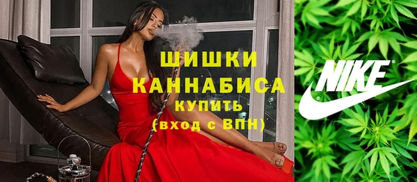 бошки Гусев