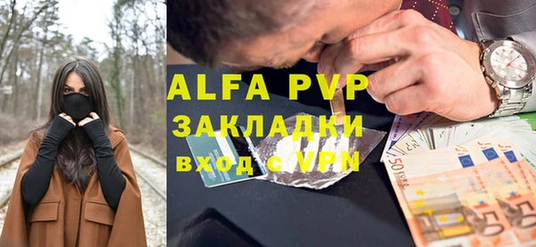 бошки Гусев