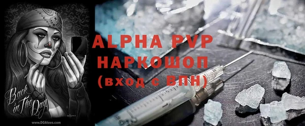 бошки Гусев