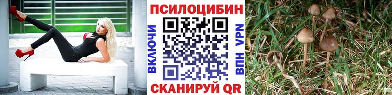 цены наркотик  Новая Ладога  Галлюциногенные грибы GOLDEN TEACHER 